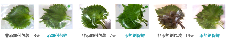 上海甲醛治理 上海甲醛治理