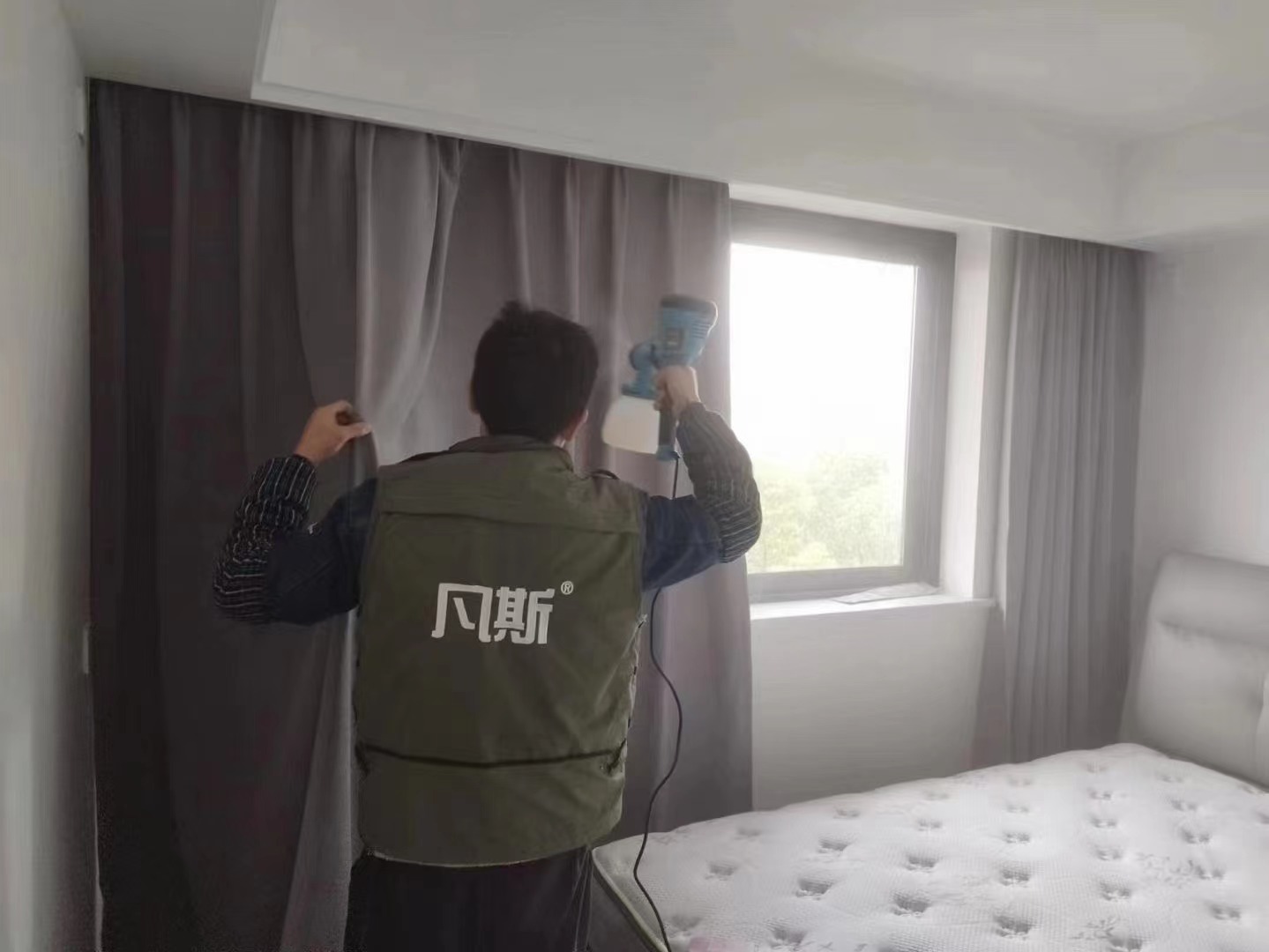 家居綠植該怎么選？好看又能清新空氣