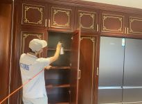 這個(gè)土方法快速除甲醛