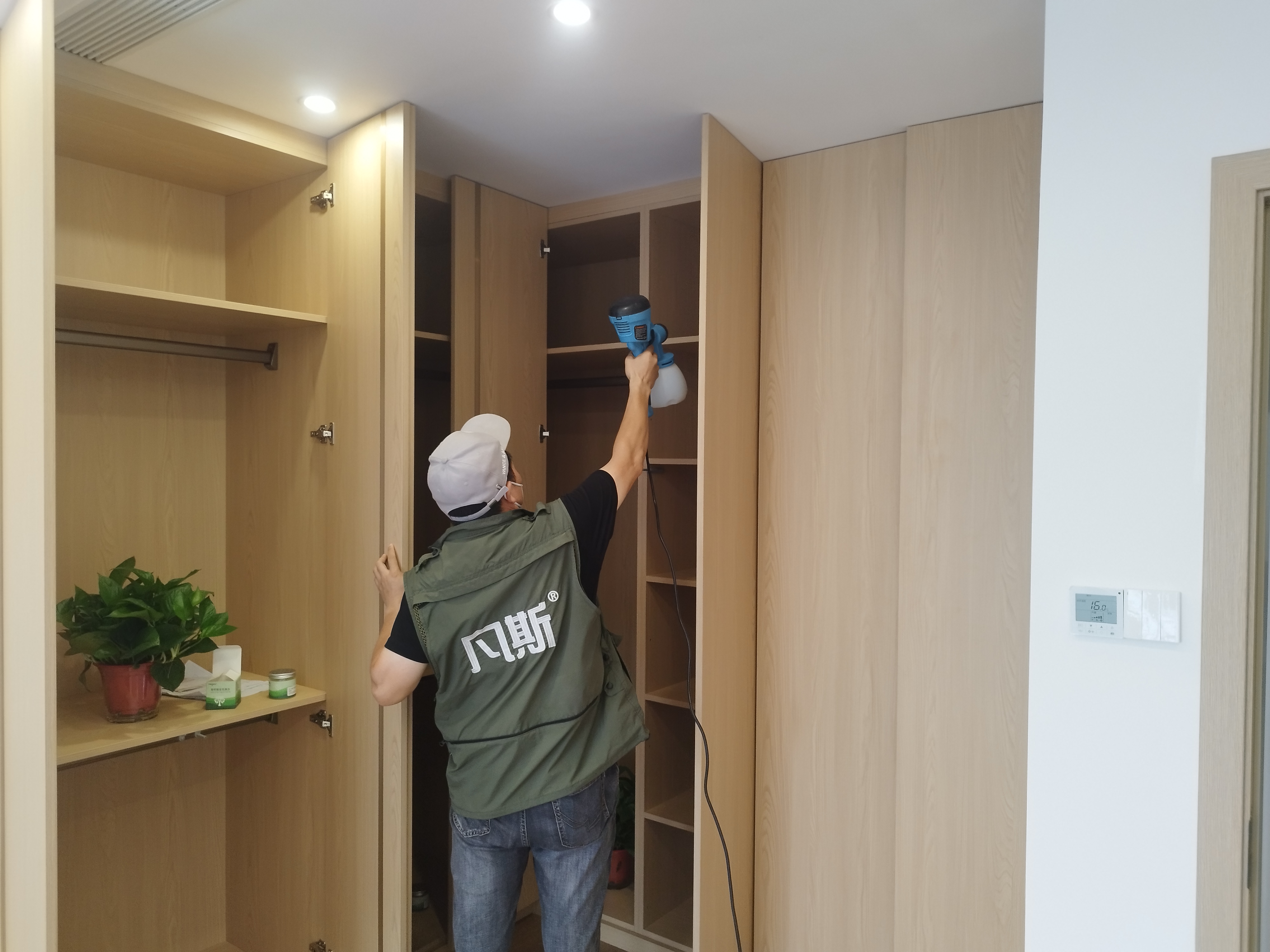 除甲醛用洋蔥效果好嗎