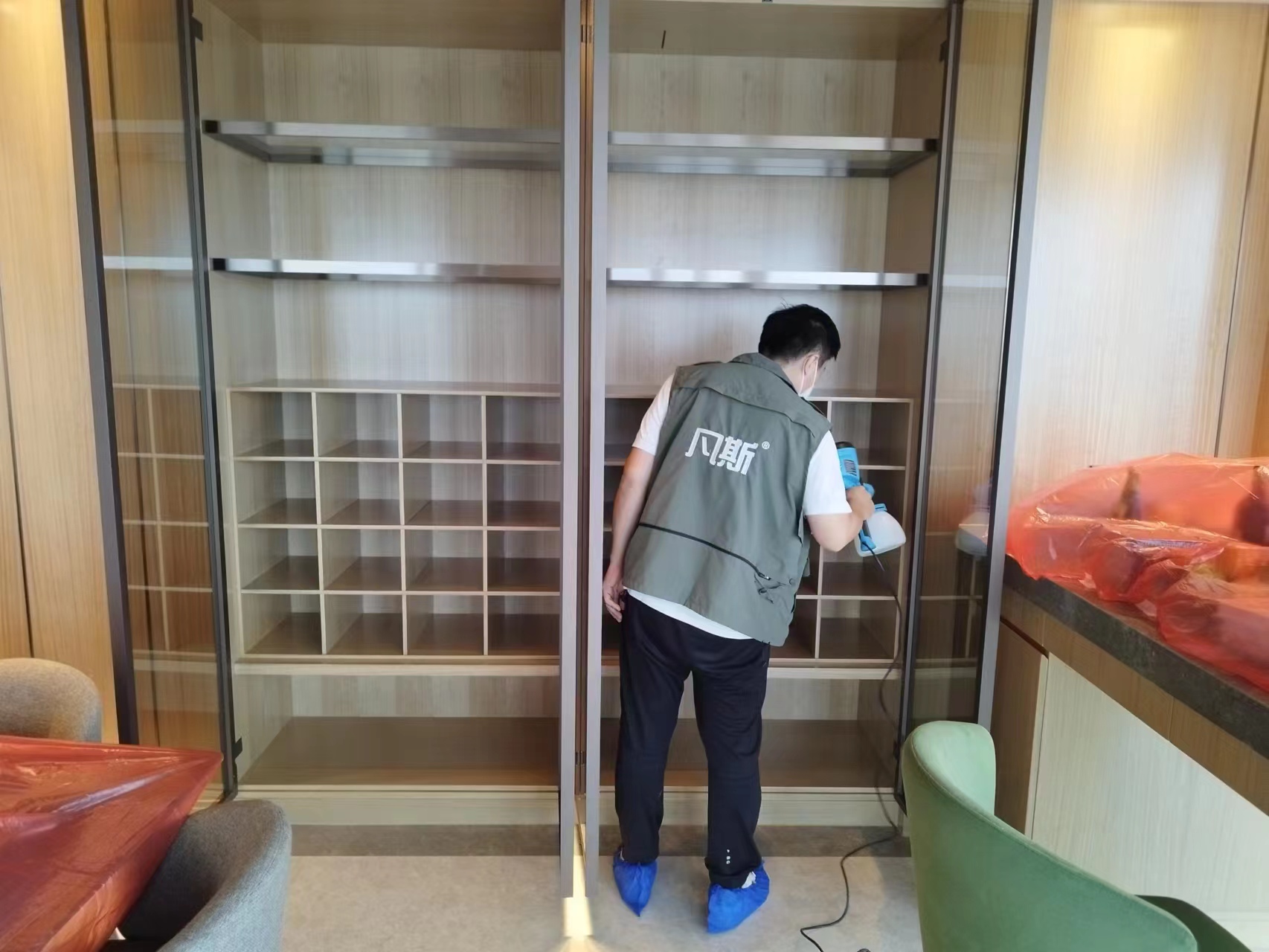 家里綠植的選購(gòu)技巧，凈化室內(nèi)空氣